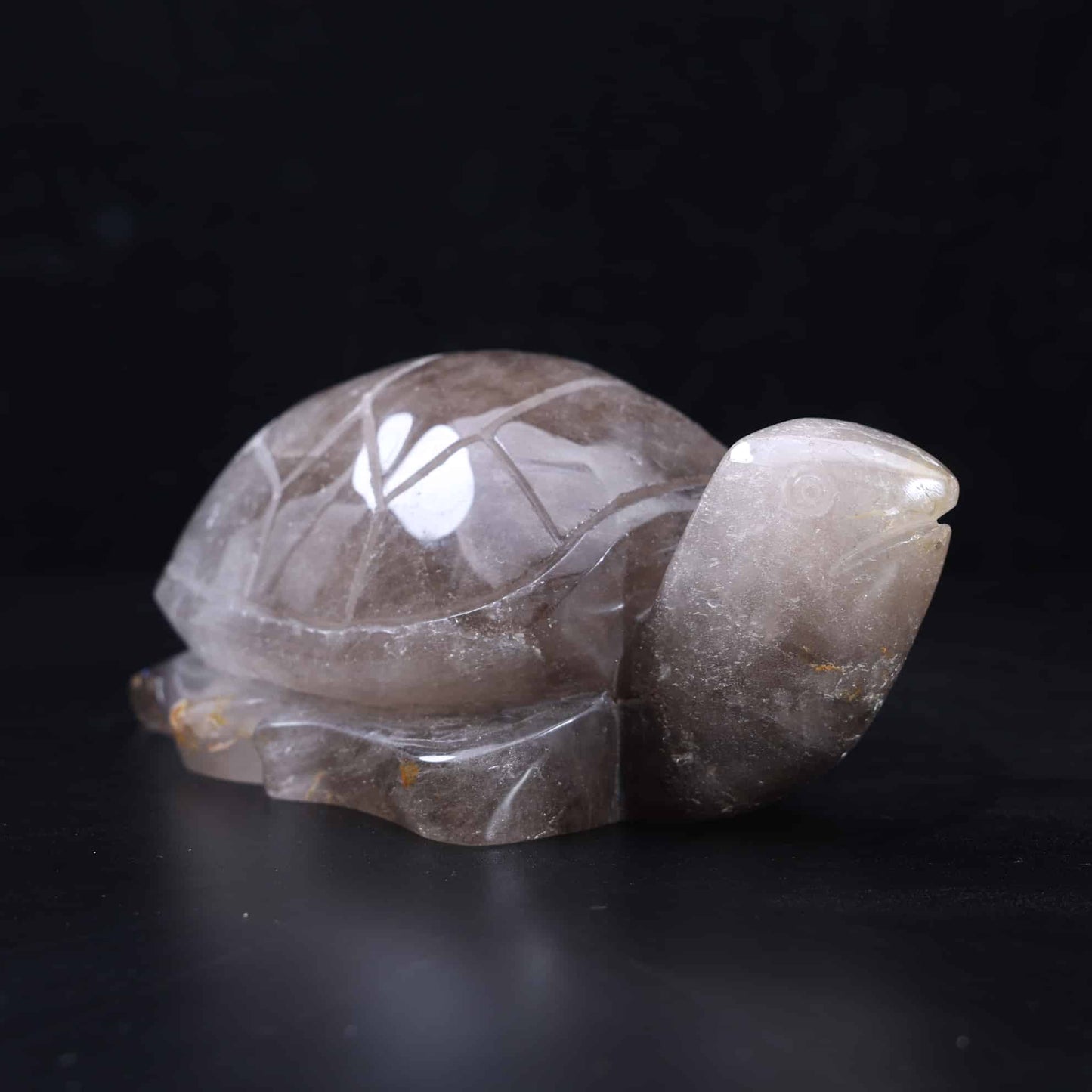 Smoky Quartz Turtle #53