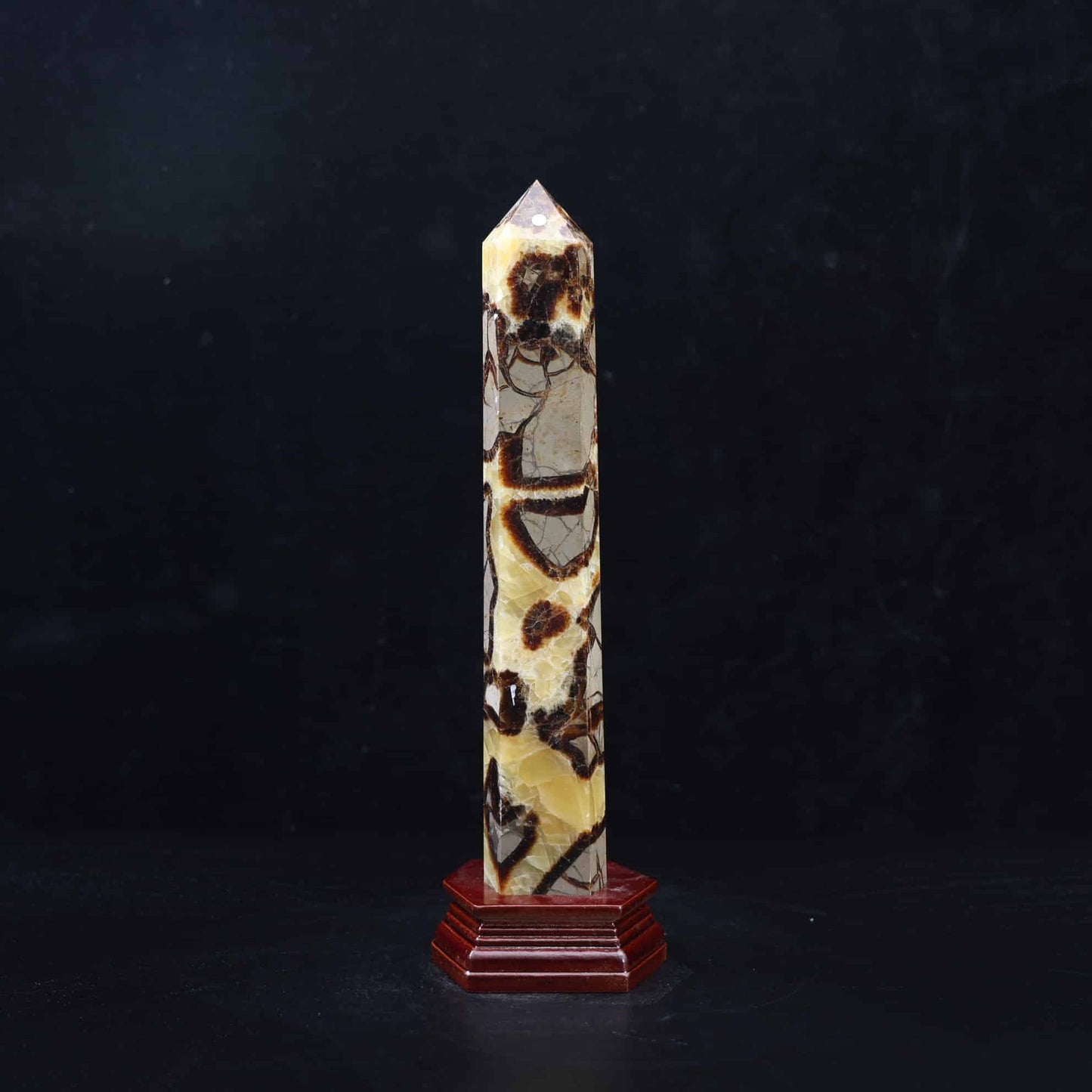 Septarian Tower #7