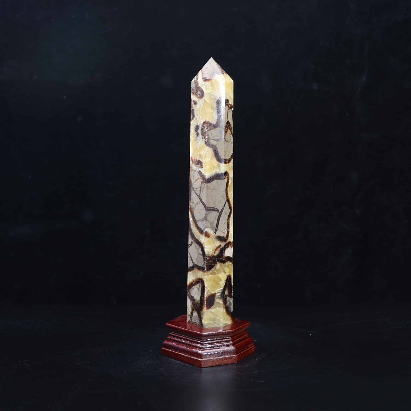 Septarian Tower #7