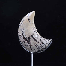 Picture Jasper Moon