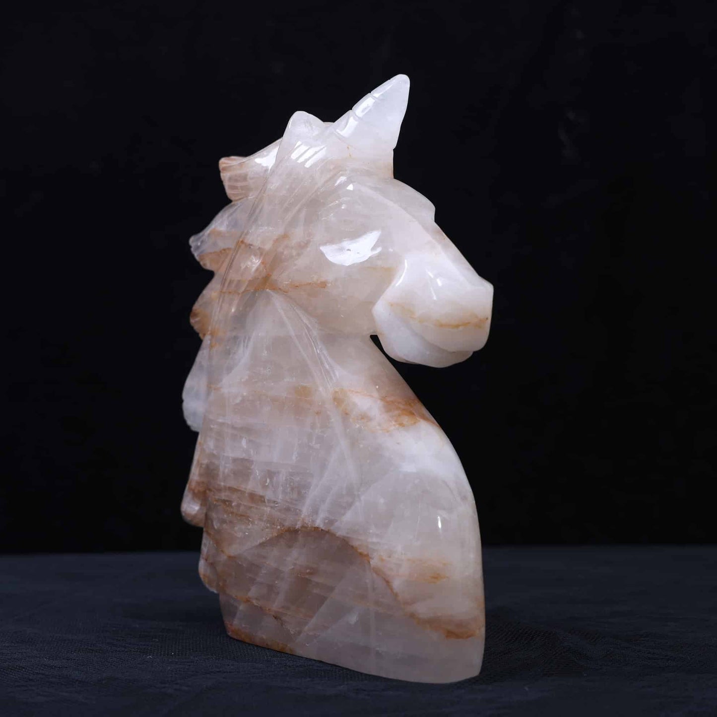 Golden Healer Unicorn #6