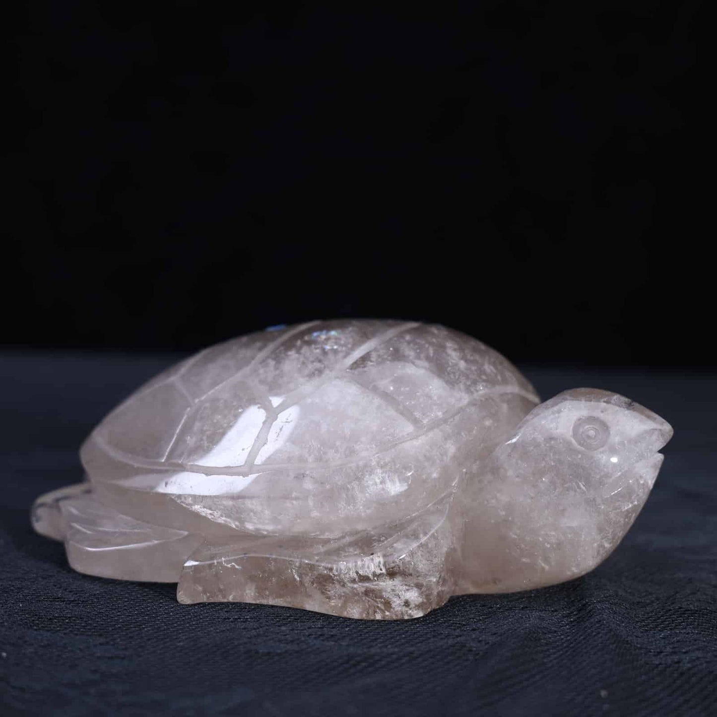 Smoky Quartz  Turtle