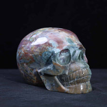 Ocean Jasper Skull #1