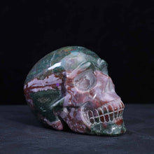 Ocean Jasper Skull #3