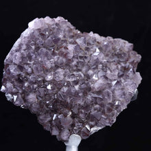 Amethyst  Cluster
