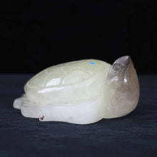 Smoky Citrine Turtle #81