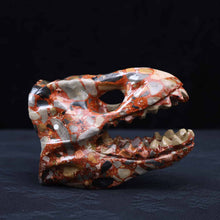 Nongken Jade Dinosaur Skull #2