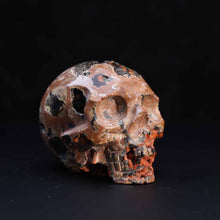 Zhanguo Red Agate Skull