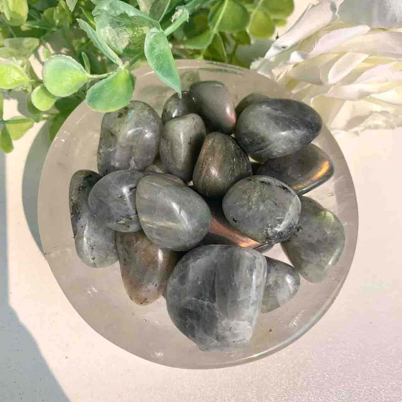 NO.D01-BIG Sale BIG Promotion-Crystal Living Room！！！