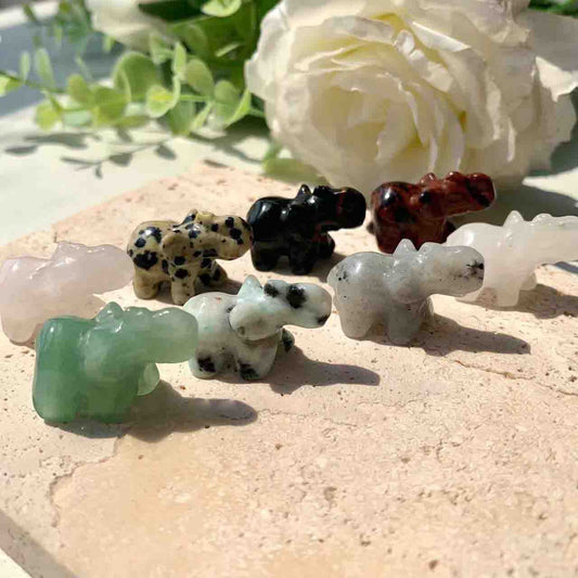 NO.9 Crystal Living Big Sale  Big  Promotion!!!