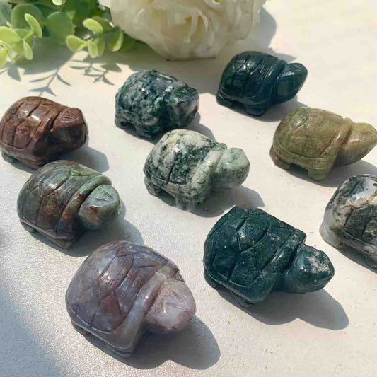 NO.5 Crystal Living Room-Big Promotion！！！